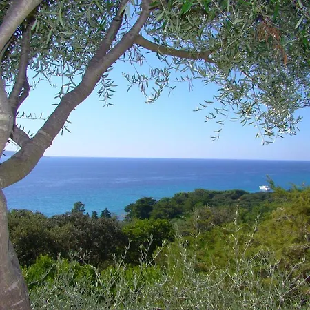 4pers, Stunning Sea View, On Foot 4* Holiday home