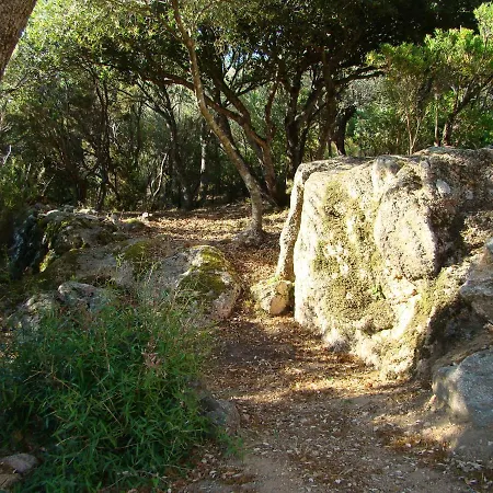 4pers, Stunning Sea View, On Foot 4* * Olmeto (Corsica)