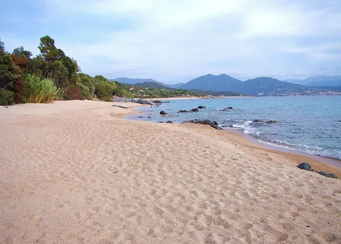 4pers, Stunning Sea View, On Foot 4*