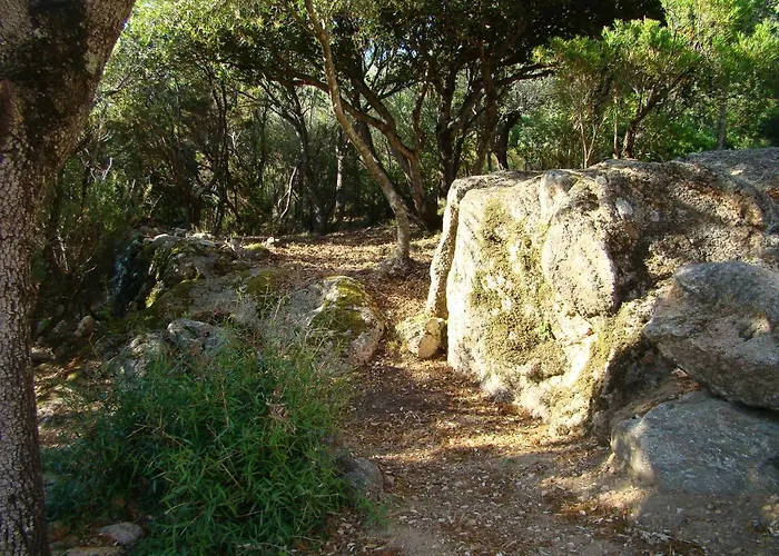 4pers, Stunning Sea View, On Foot 4* * Olmeto (Corsica)